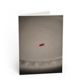 Evidence / Greeting Card