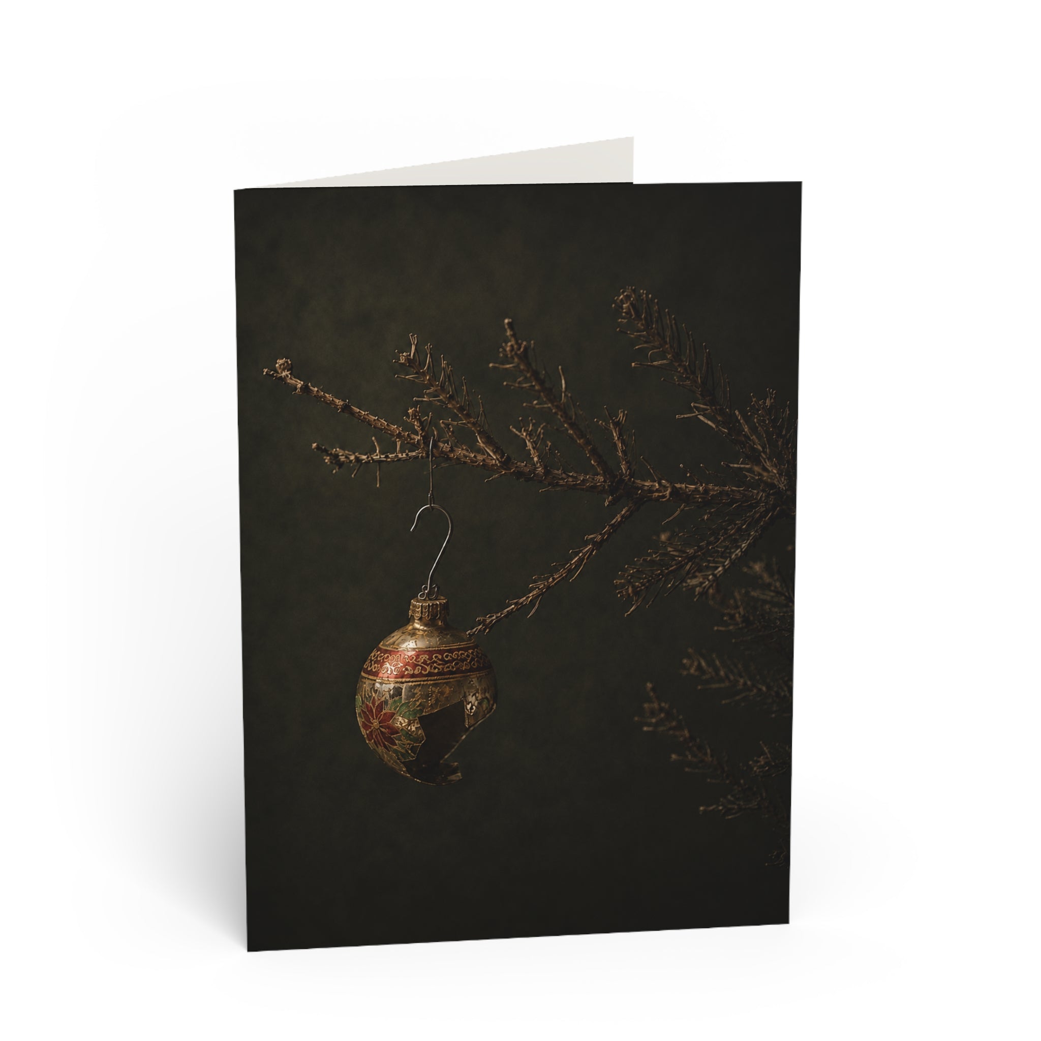 Fragile / Every family has one. The ornament that didn't quite survive. Maybe it slipped while decorating. Maybe it shattered years ago and somehow still earned a place on the tree. / Holiday Greeting Card