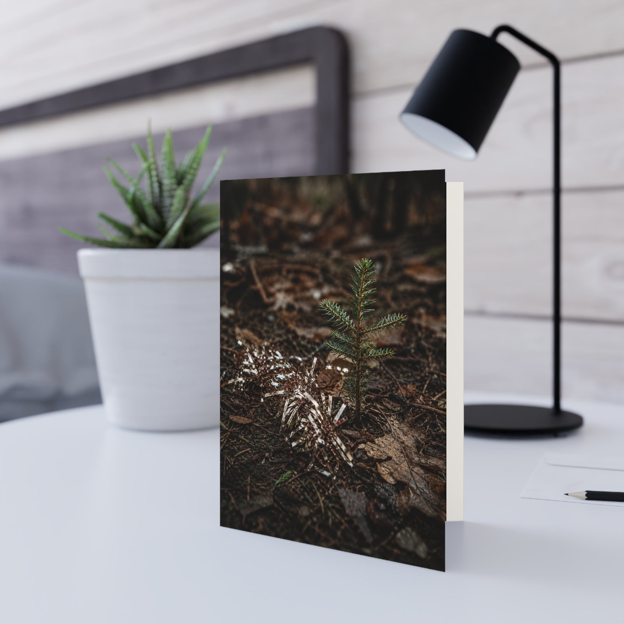 Renewal / The tinsel stayed. Christmas didn't. Months later, the forest is already writing a different story. A young evergreen doesn't know what was celebrated here. It simply grows. / Holiday Greeting Card