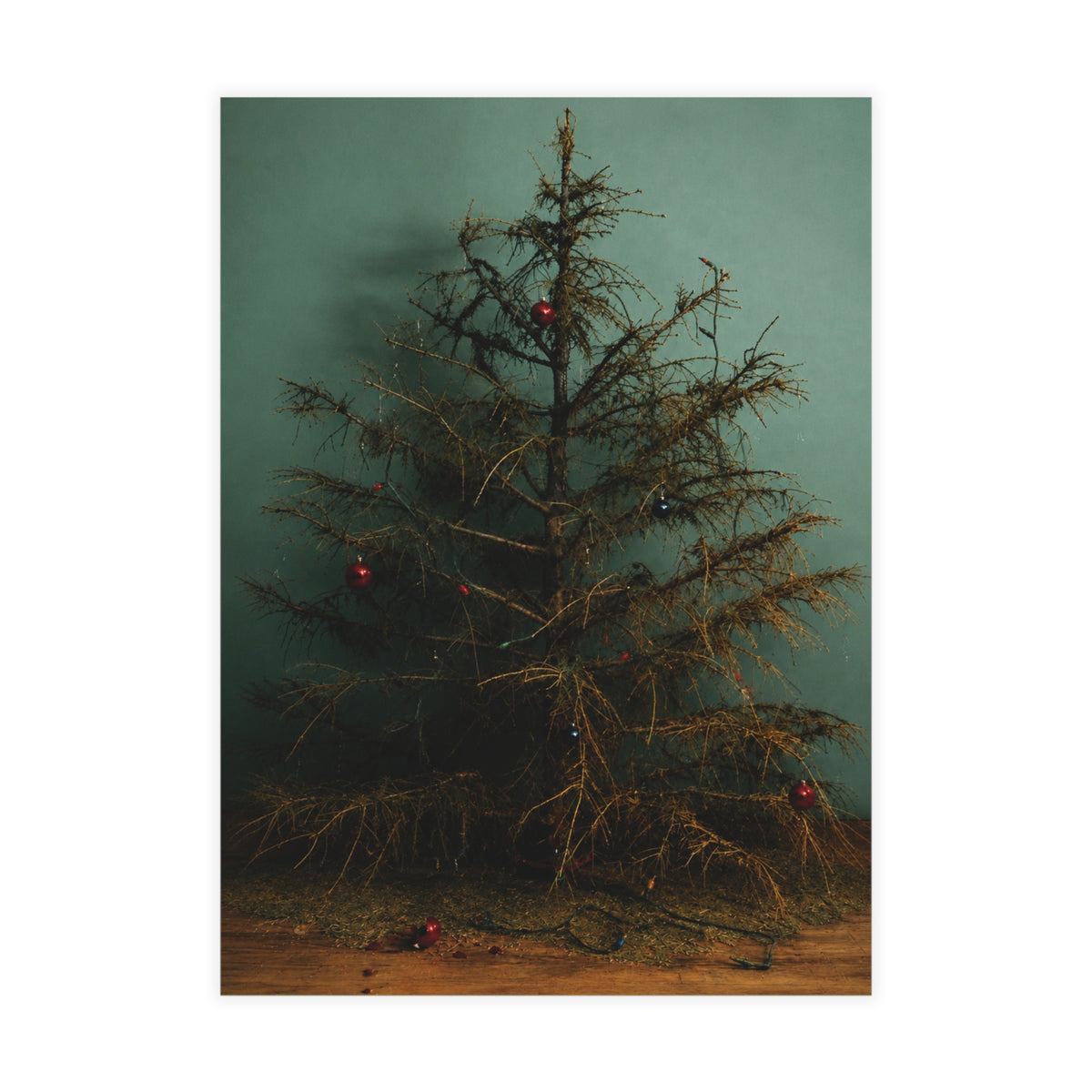Christmas Tree Postcard Bundles (envelopes included)